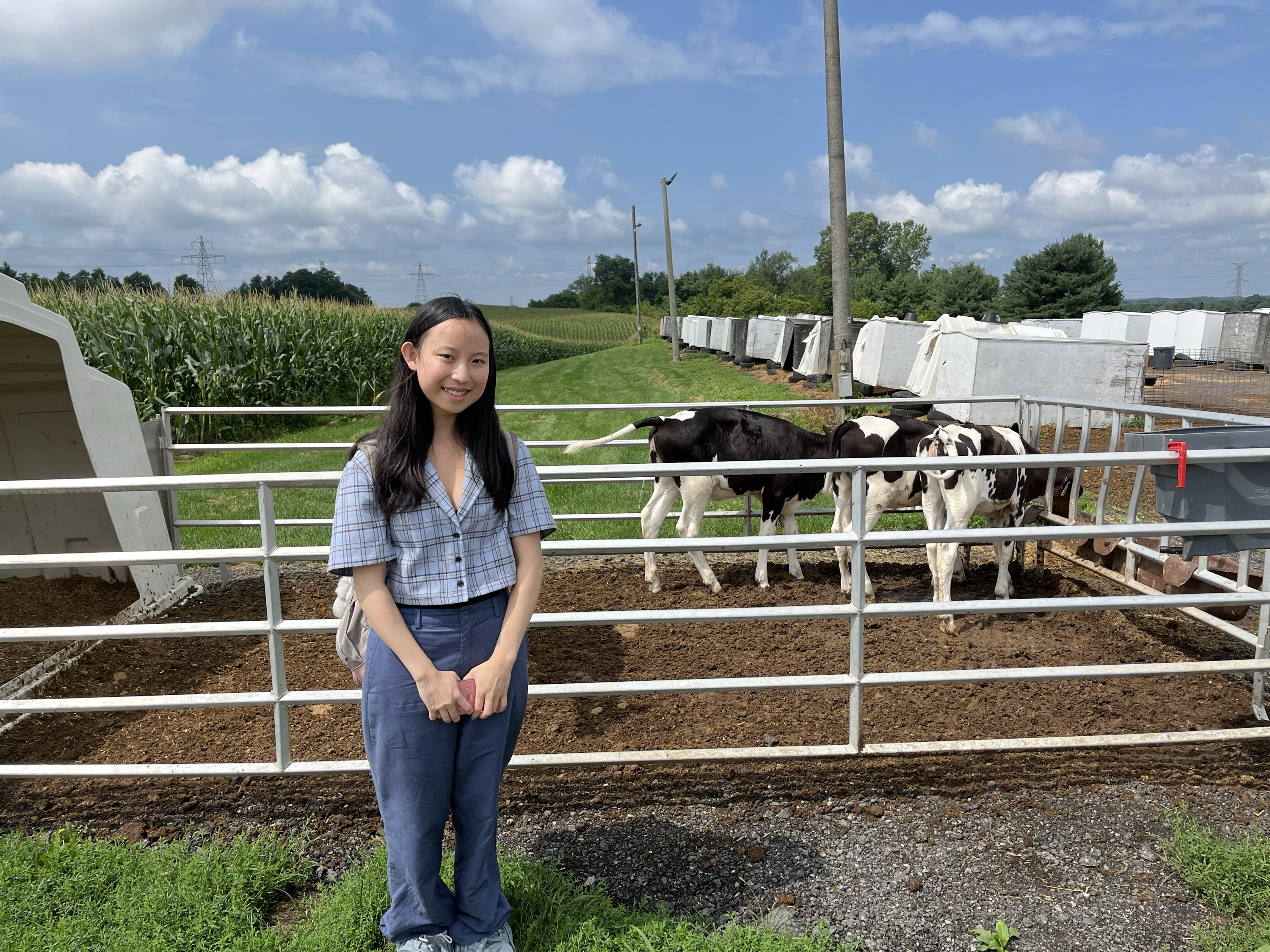 Charlene demoing CATTLEytics to farmers